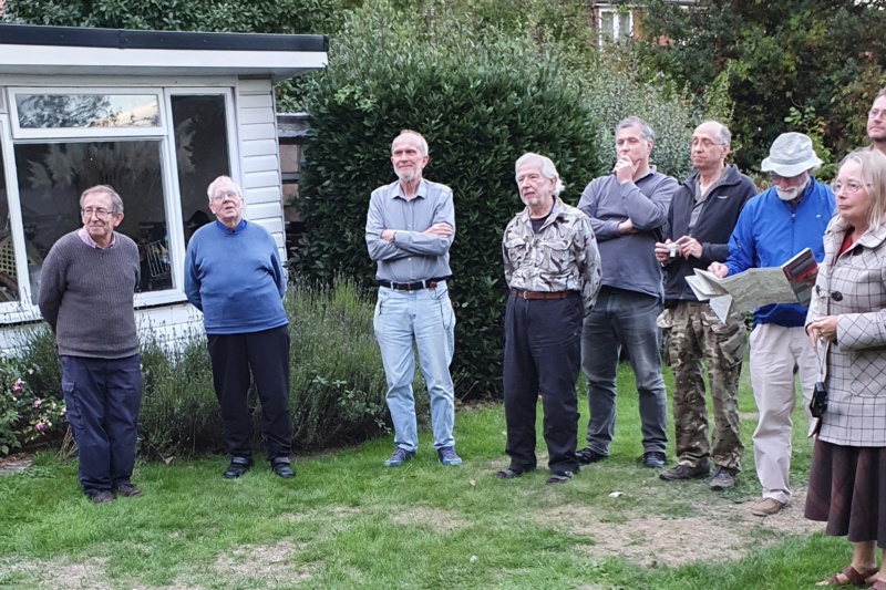 800x533 pixels (236K)